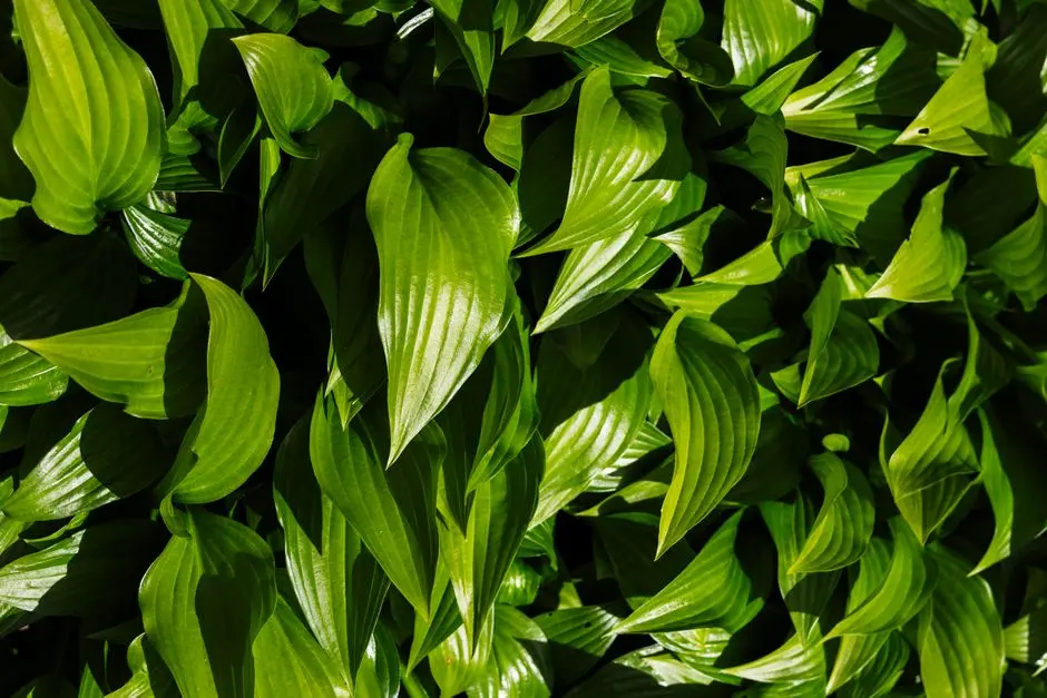 Greens & Outdoors at ASSETZ CODENAME COMMUNE, Gattahalli Phase 2, Bangalore
