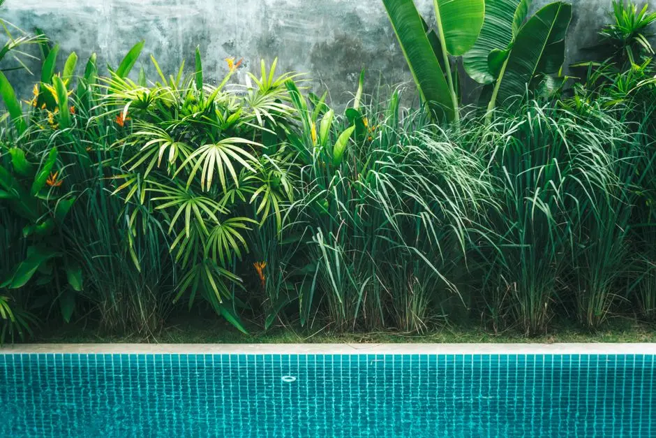 Greens & Outdoors at ASSETZ THE SECRET LAKE, Devanahalli, Bangalore