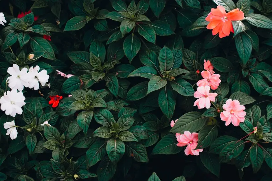 Greens & Outdoors at ASSETZ CODENAME SANCTUM, Yelahanka, Bangalore
