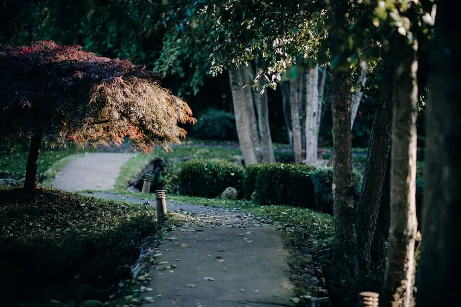 Greens & Outdoors at ASSETZ SIRAIA, Devanahalli, Bangalore