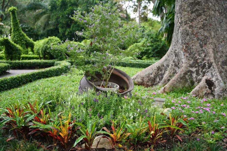Greens & Outdoors at ASSETZ 18 & OAK, Sevaganapalli, Hosur